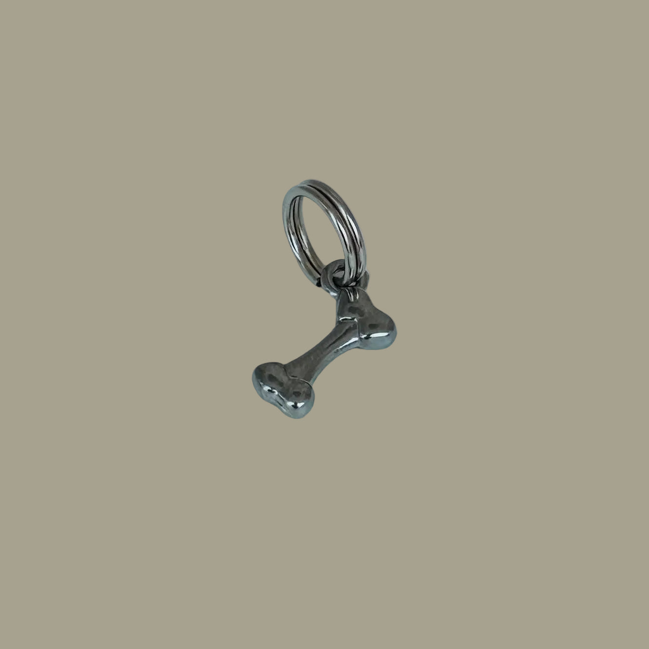Charm in shape of a Bone