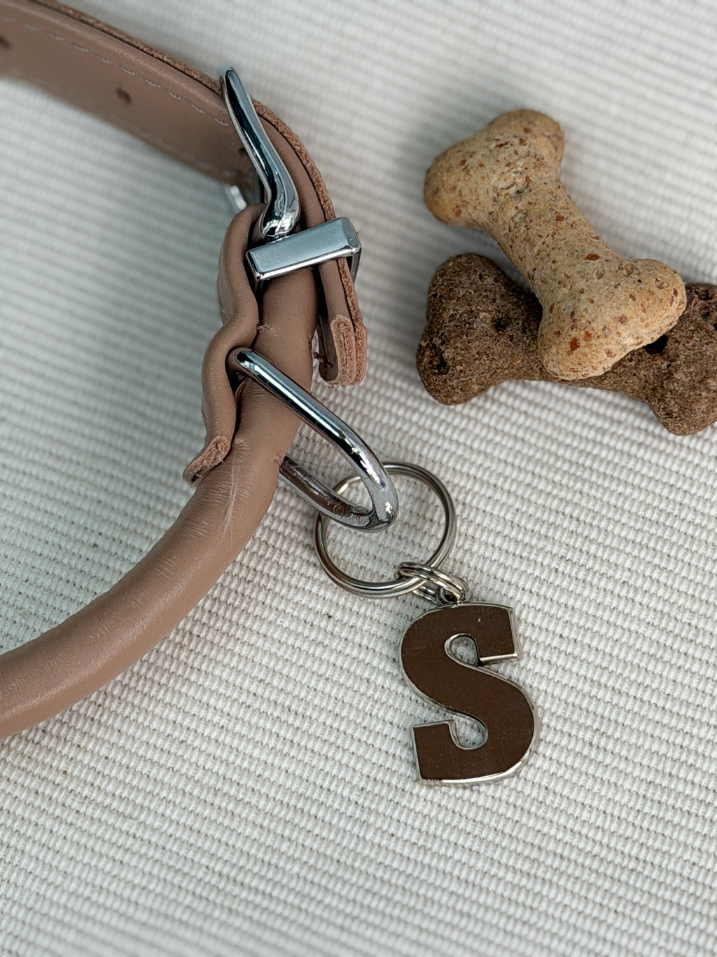 Dog Tag Letter S