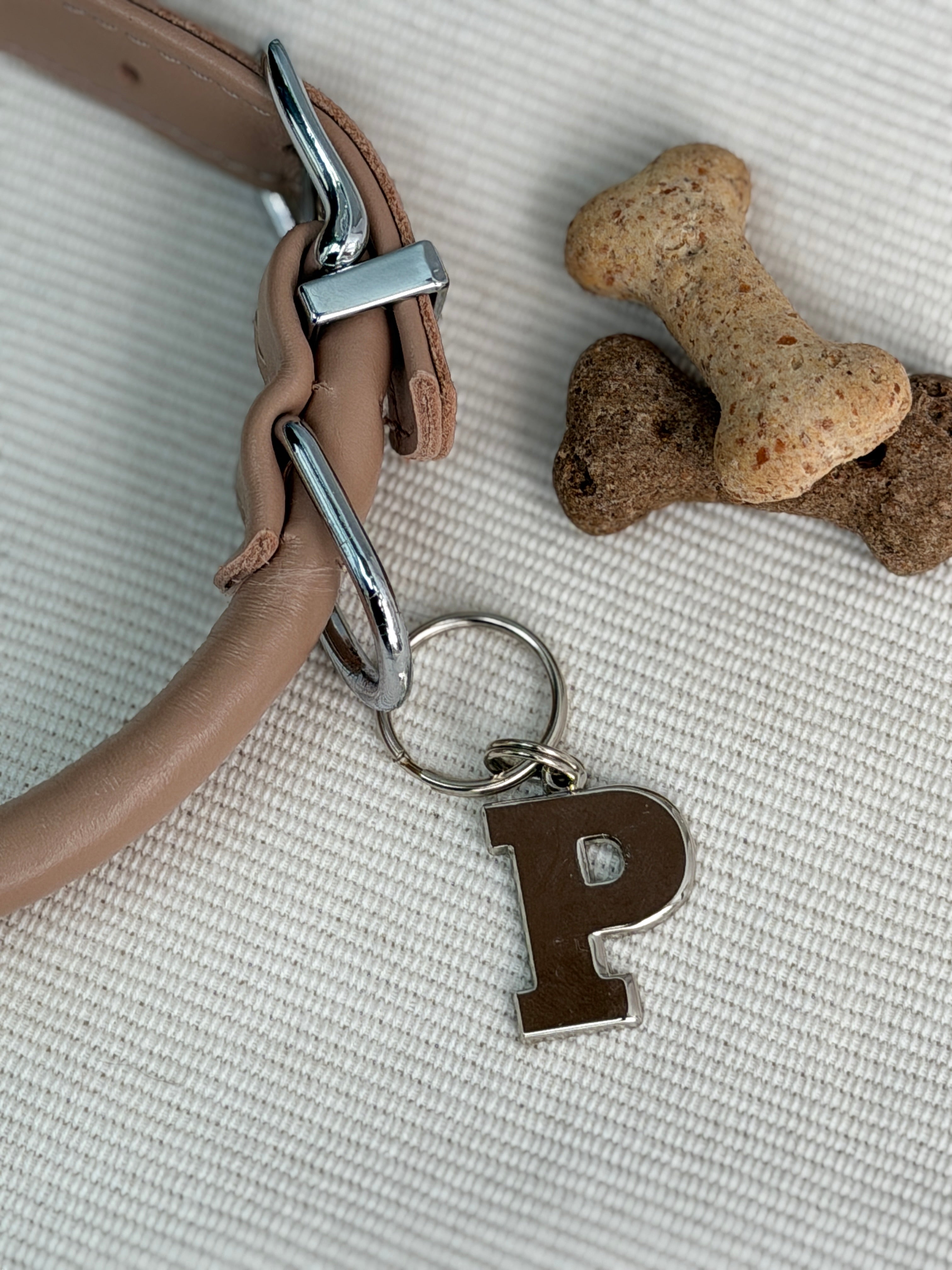 Dog Tag Letter P
