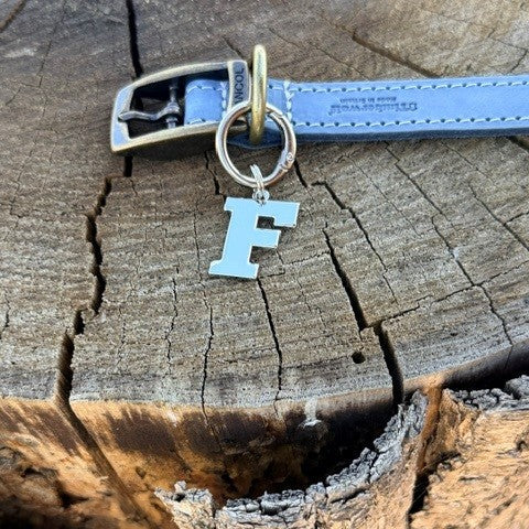 Initial Dog Tag - Letter F