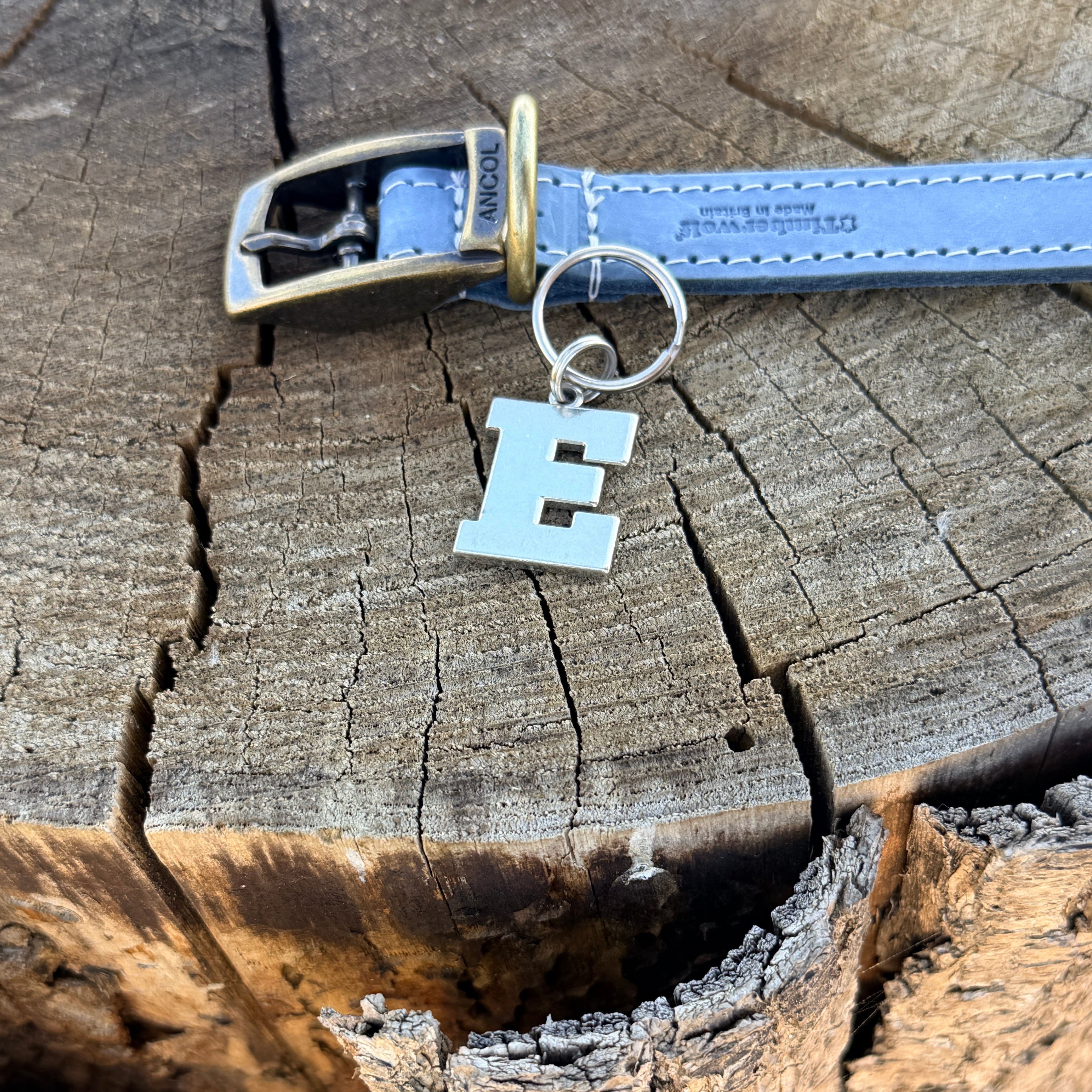 Initial Dog Tag - Letter E