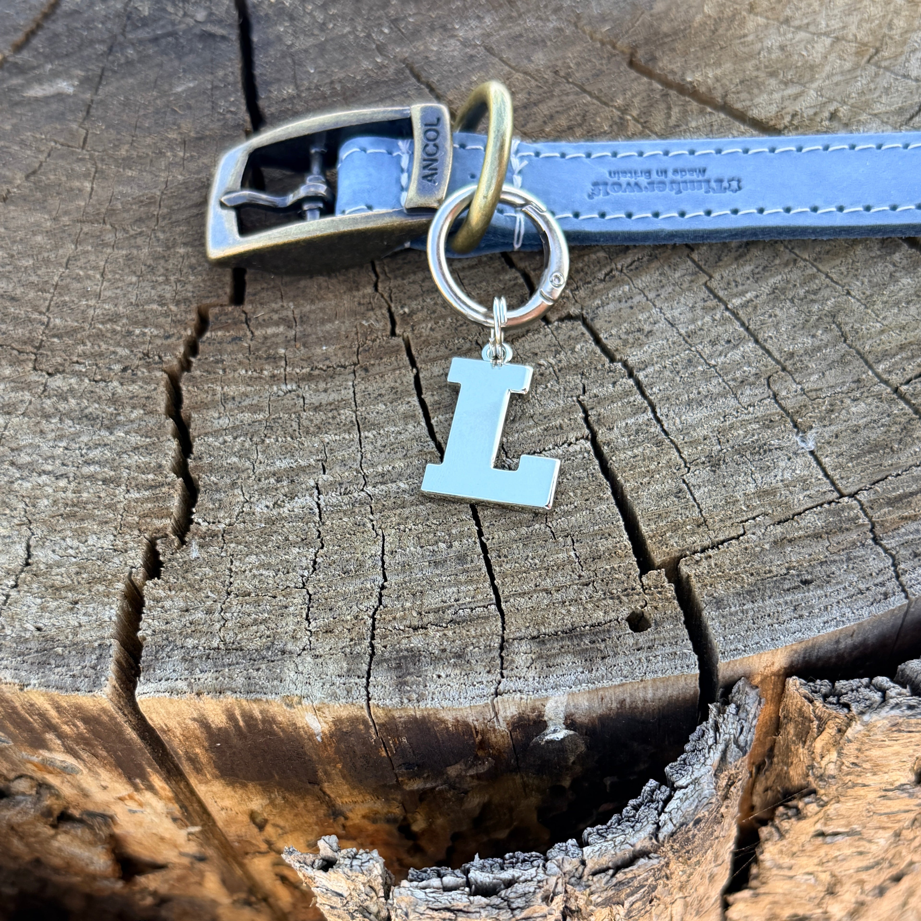 Initial Dog Tag - Letter L