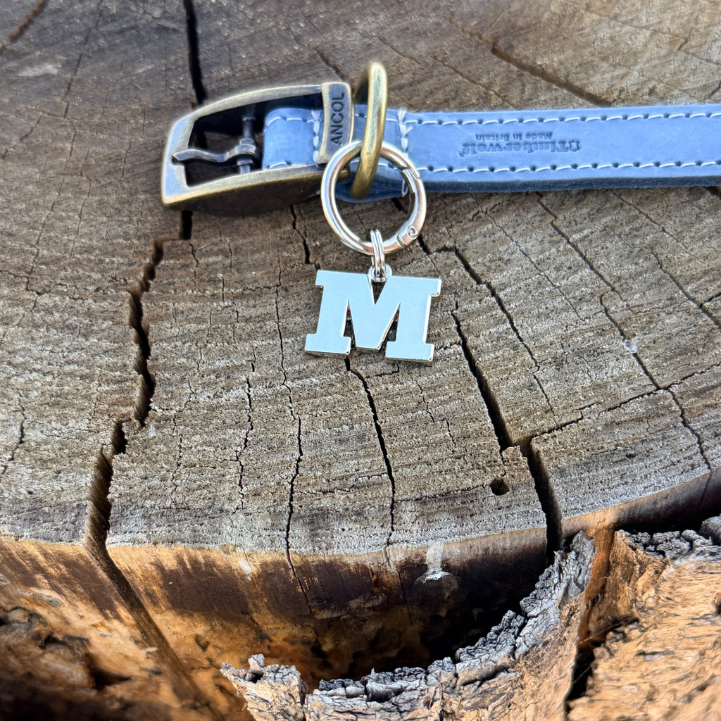 Initial Dog Tag - Letter M