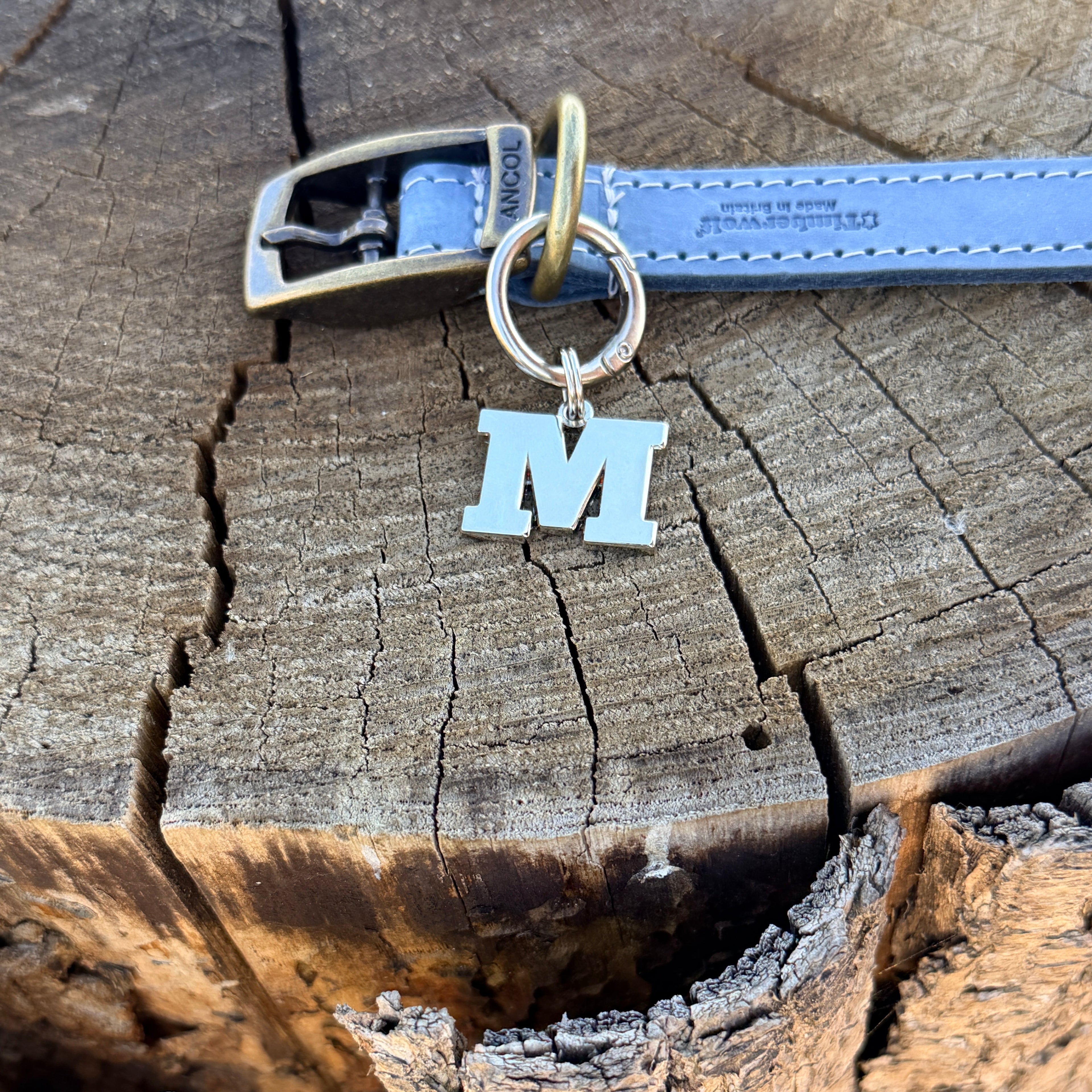 Initial Dog Tag - Letter M