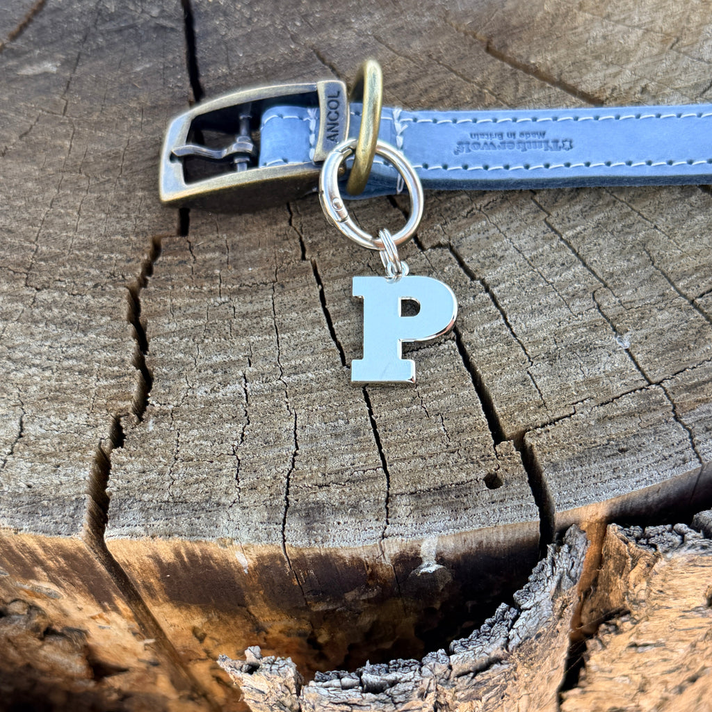 Initial Dog Tag - Letter P