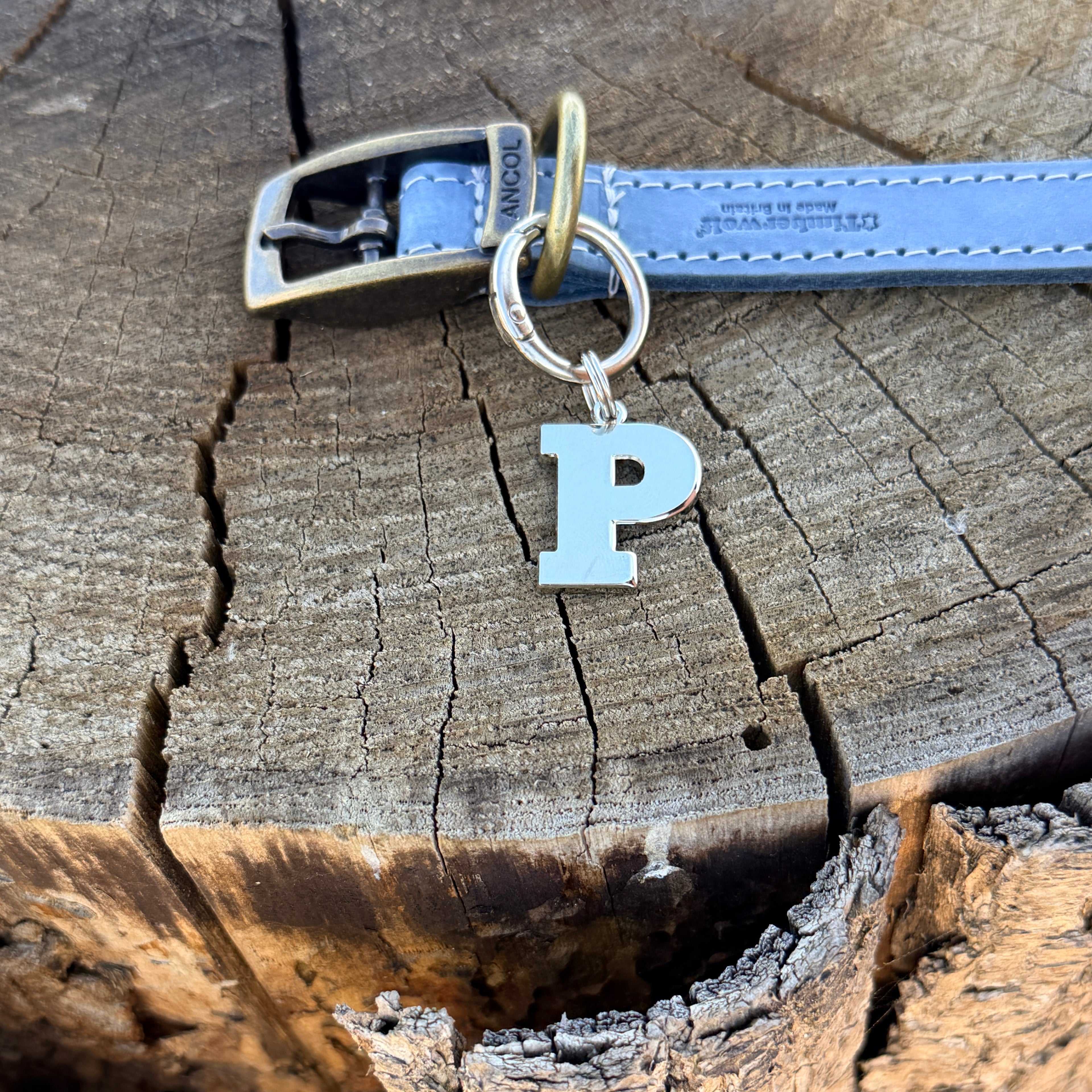 Initial Dog Tag - Letter P
