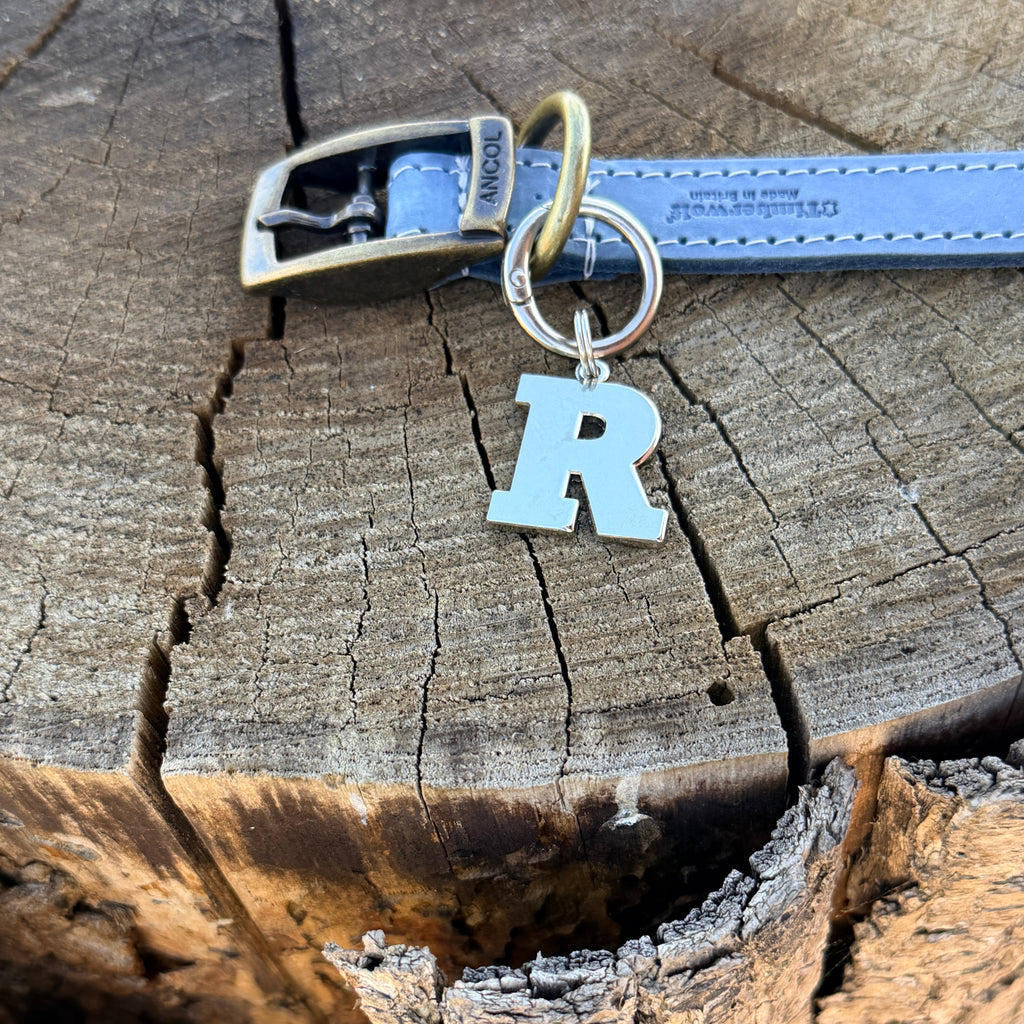 Initial Dog Tag - Letter R