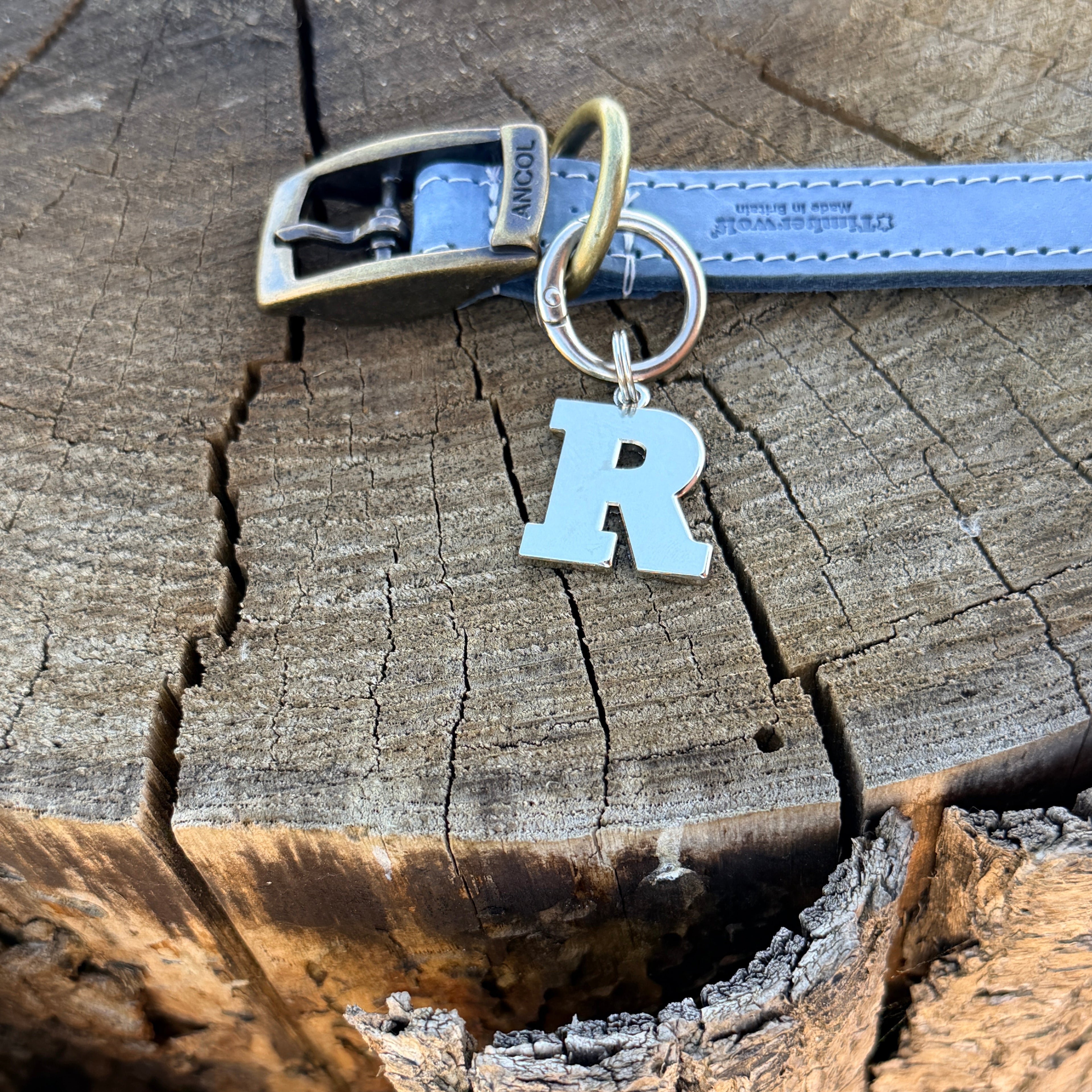 Initial Dog Tag - Letter R