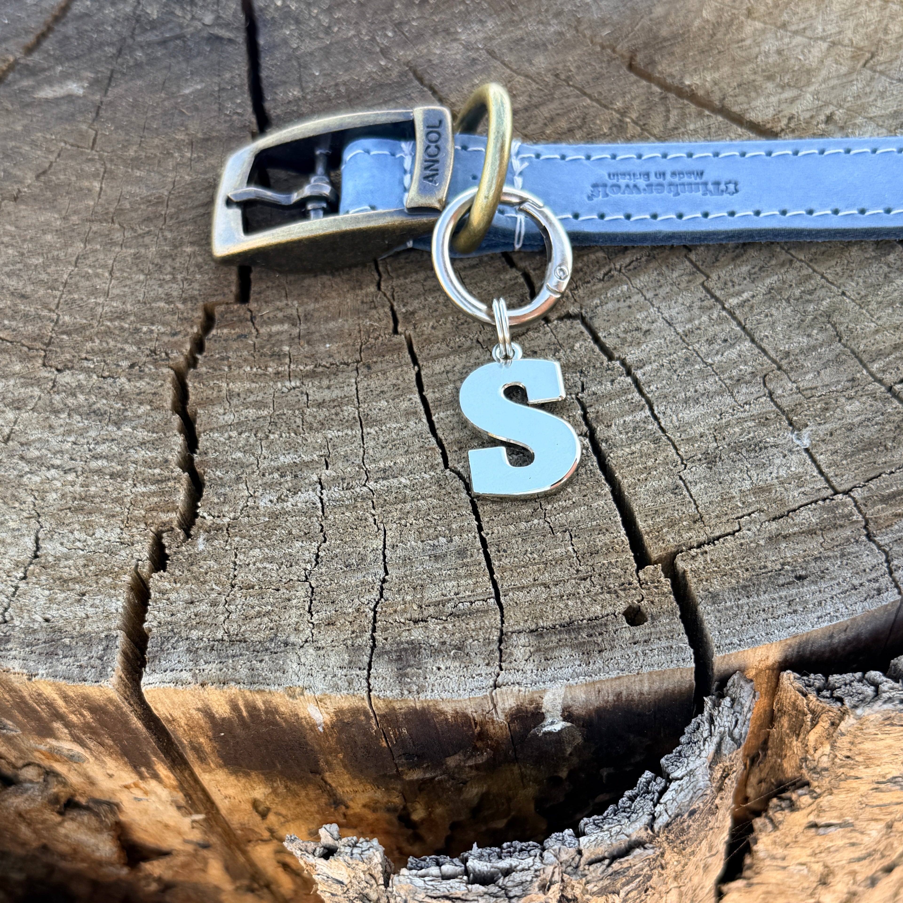 Initial Dog Tag - Letter S