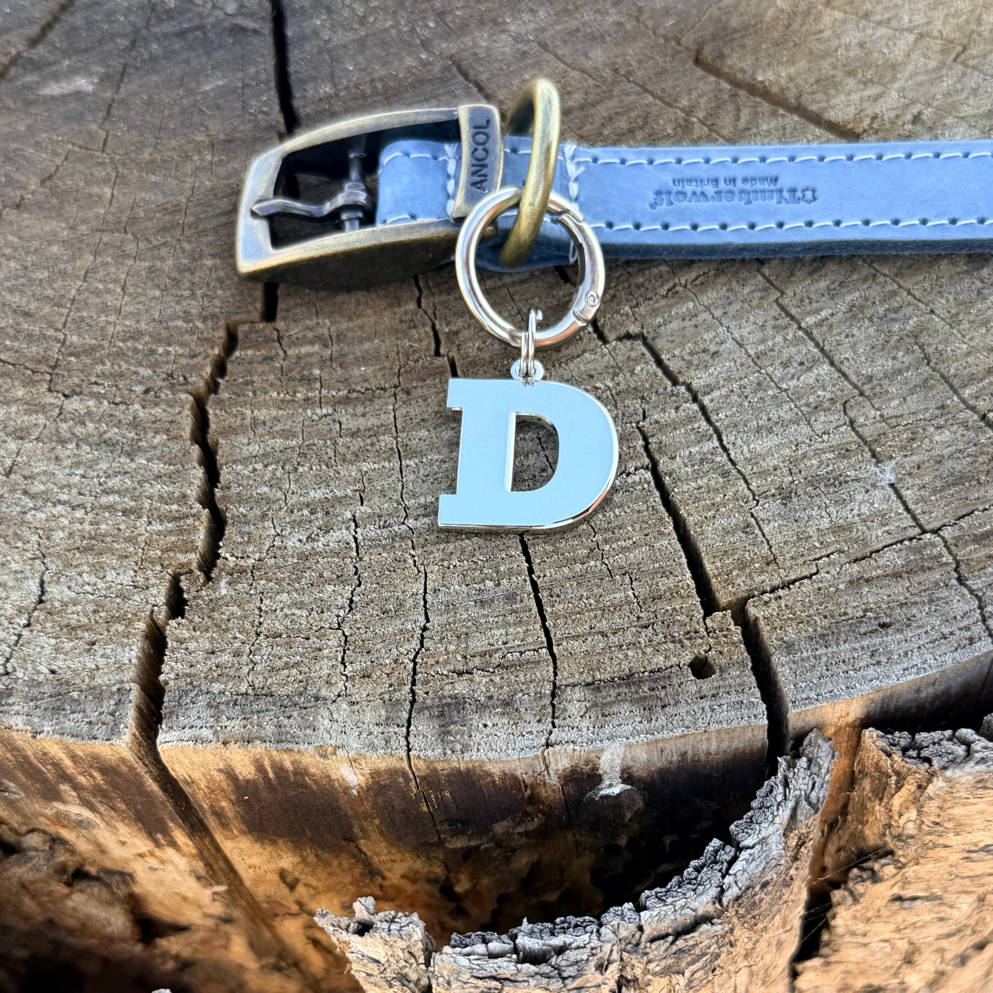 Initial Dog Tag - Letter D