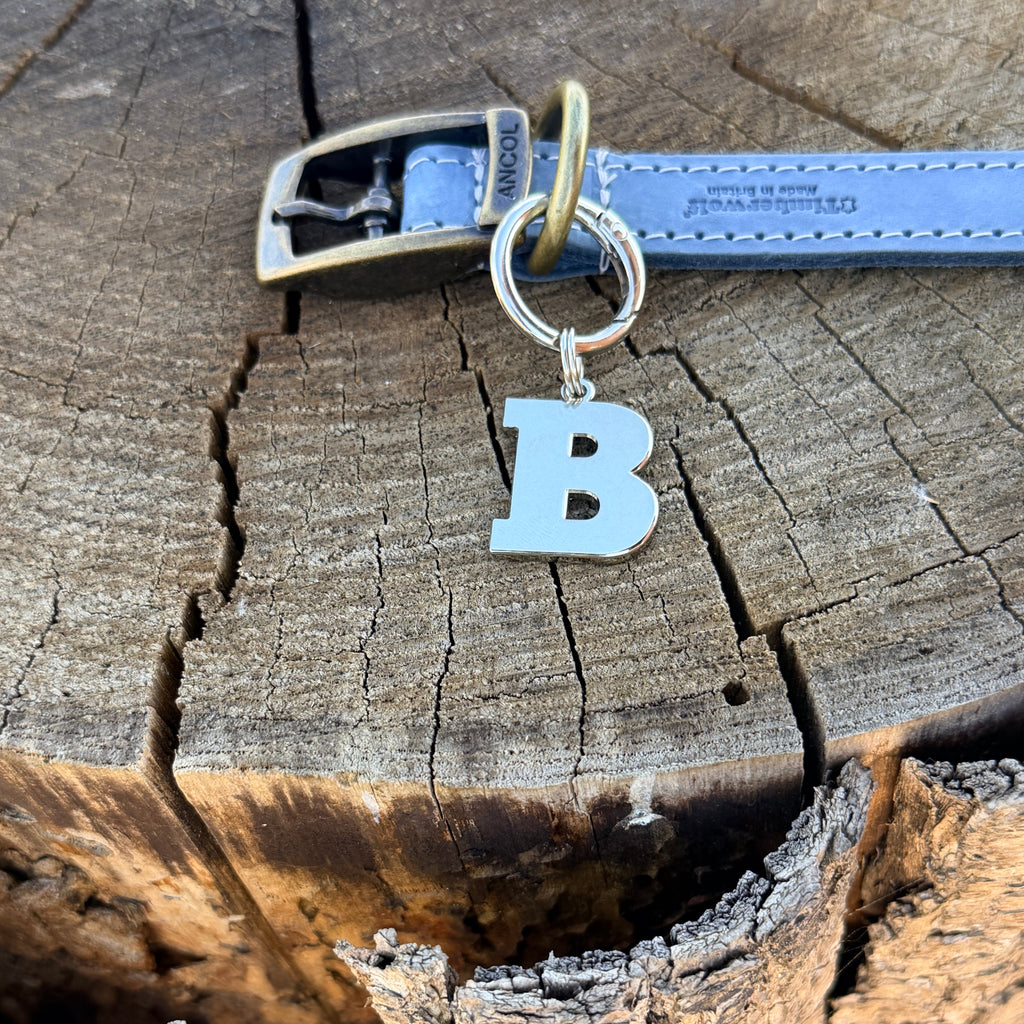 Initial Dog Tag - Letter B