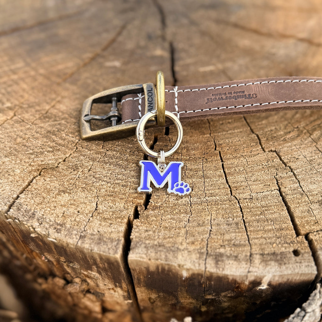Pet Pendant Signature Dog Tag – Letter M, Paw Design, Blue, 20mm