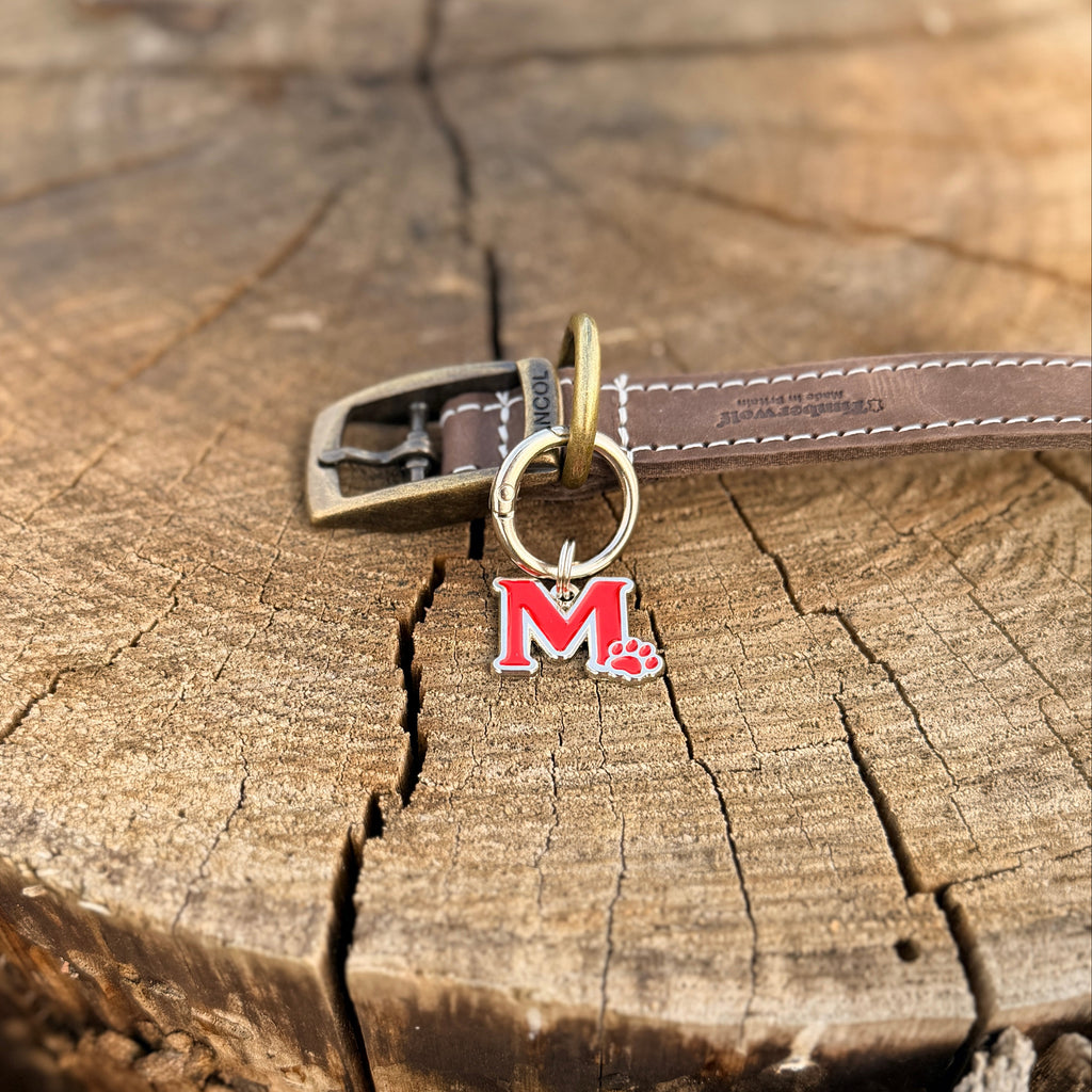 Pet Pendant Signature Dog Tag – Letter M, Paw Design, Red, 20mm