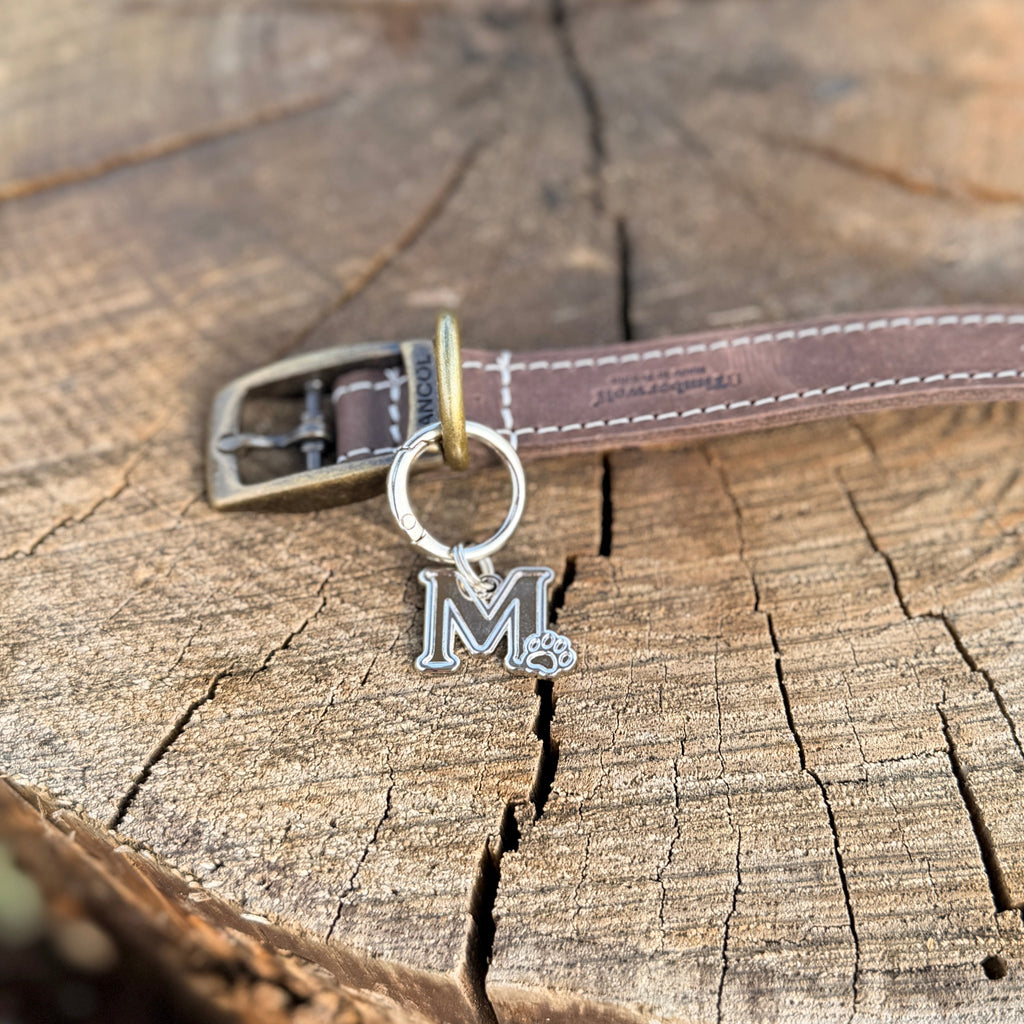 Pet Pendant Signature Dog Tag – Letter M, Paw Design, Brown, 20mm