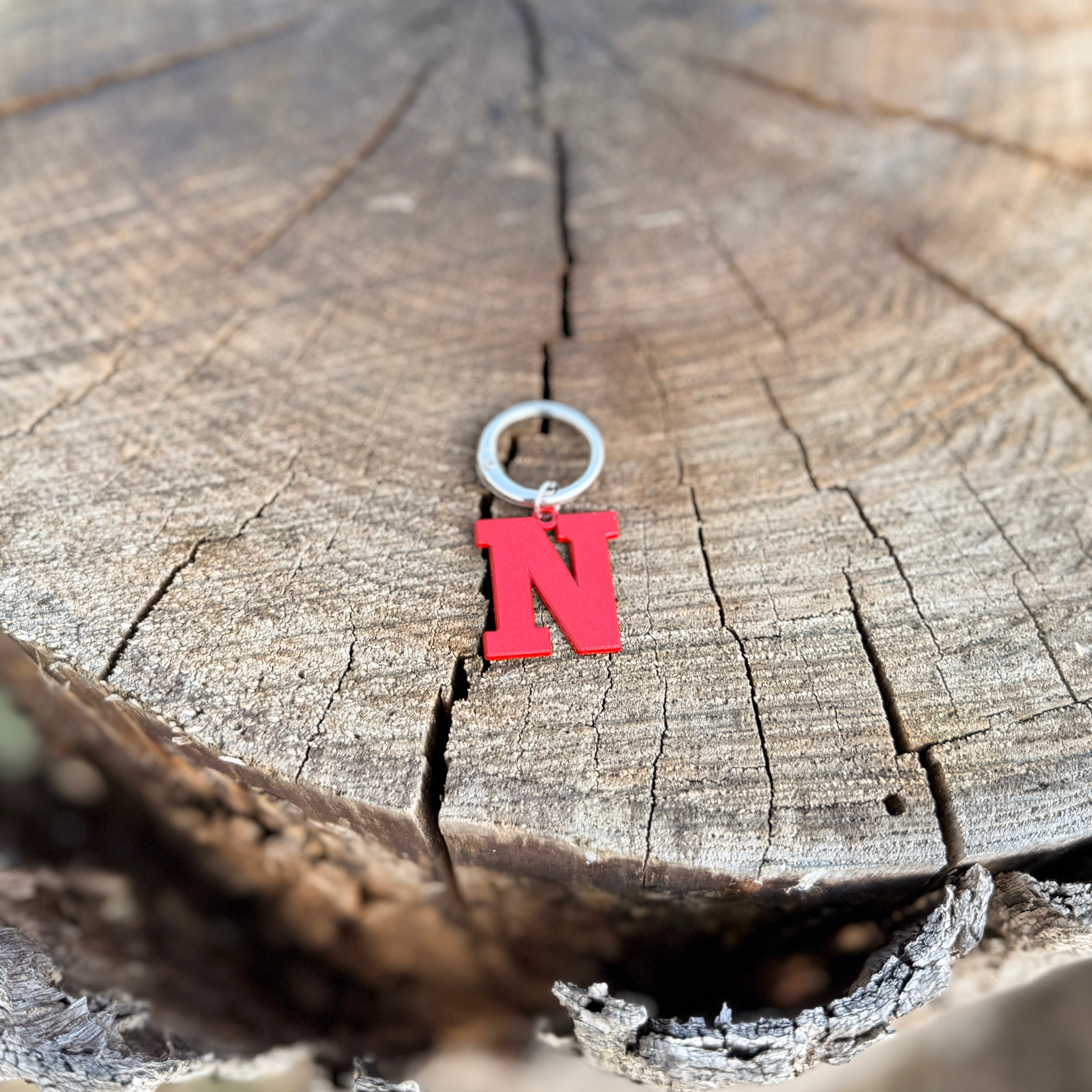 Coloured Dog Tag Letter N Red