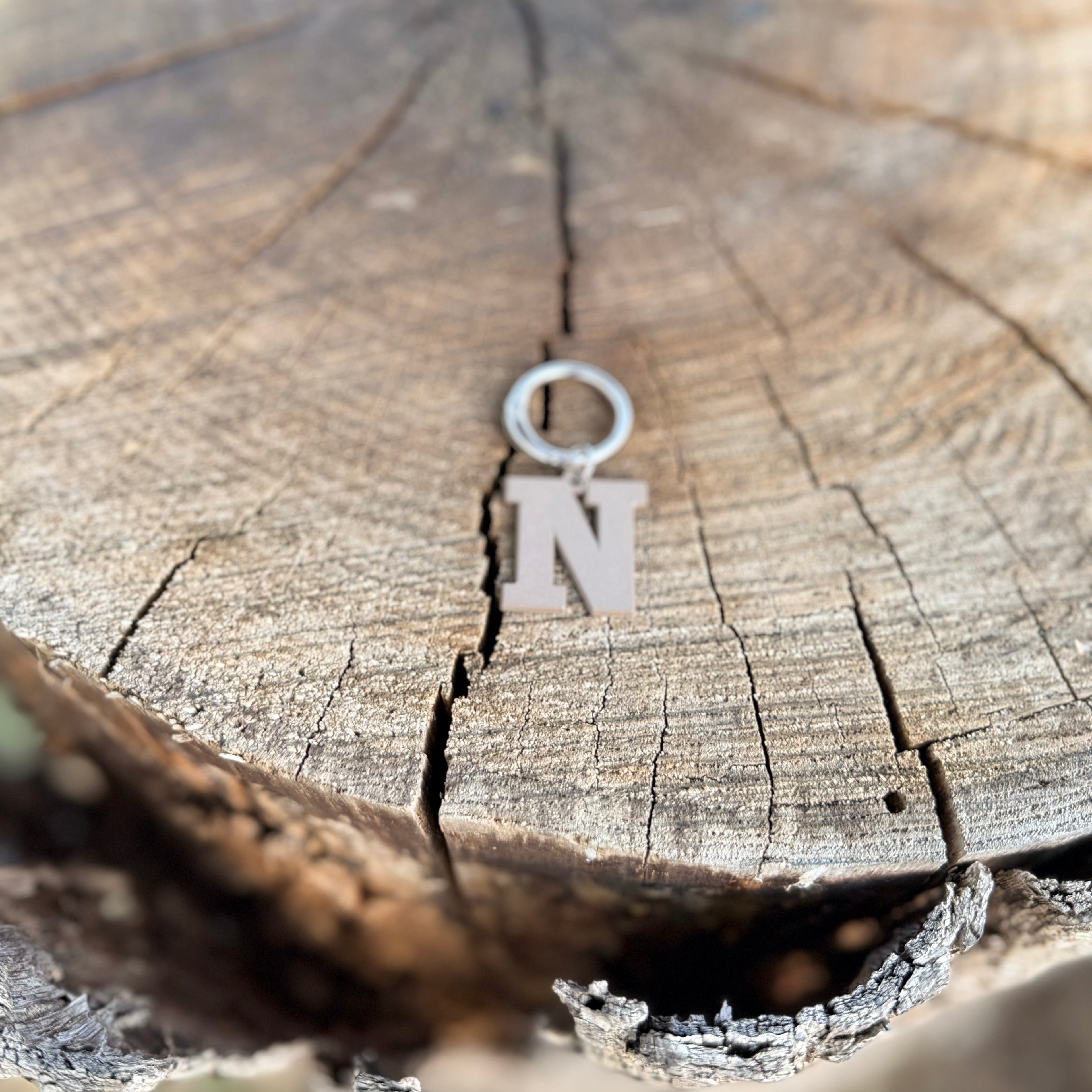 Coloured Dog Tag Letter N Brown
