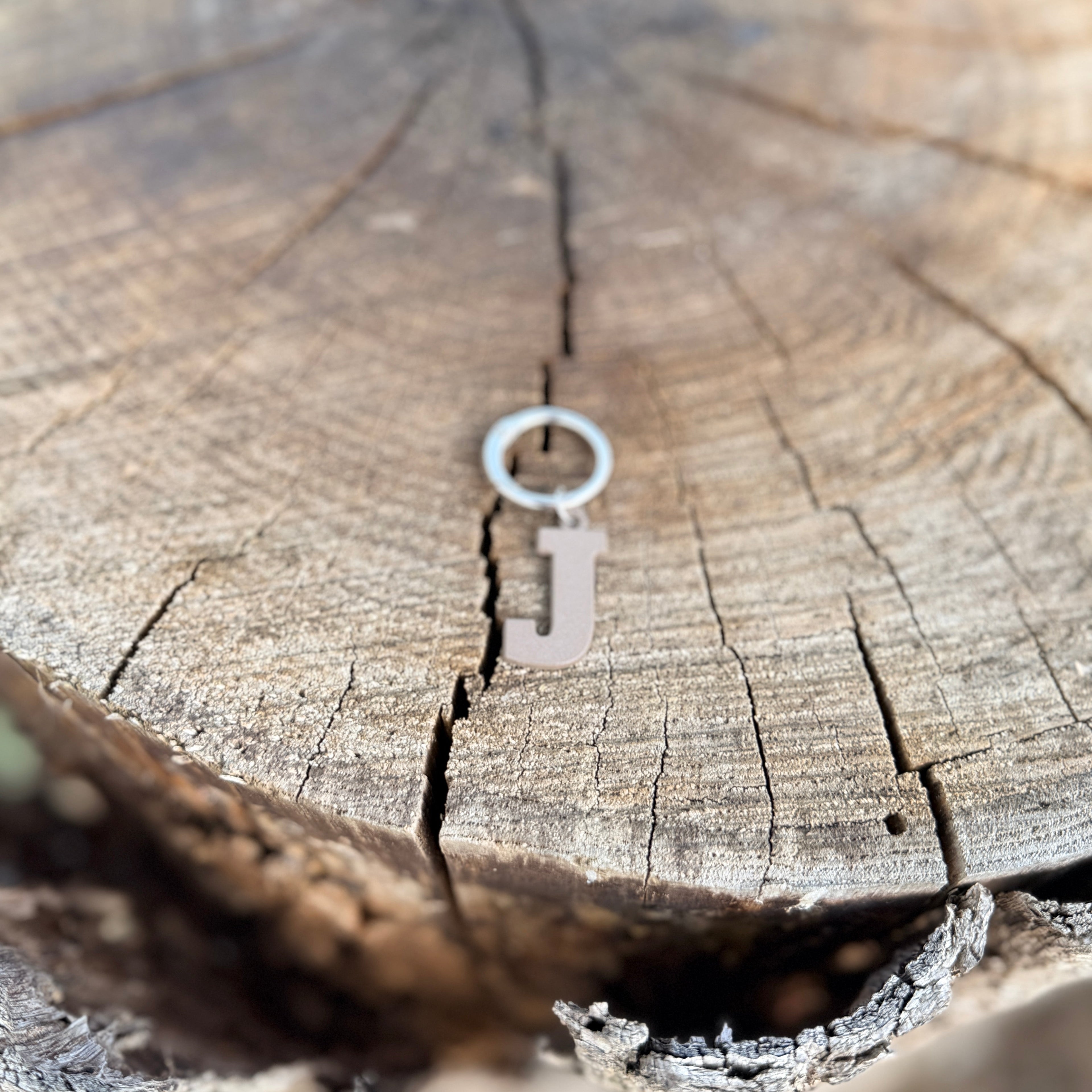 Coloured Dog Tag Letter J Brown