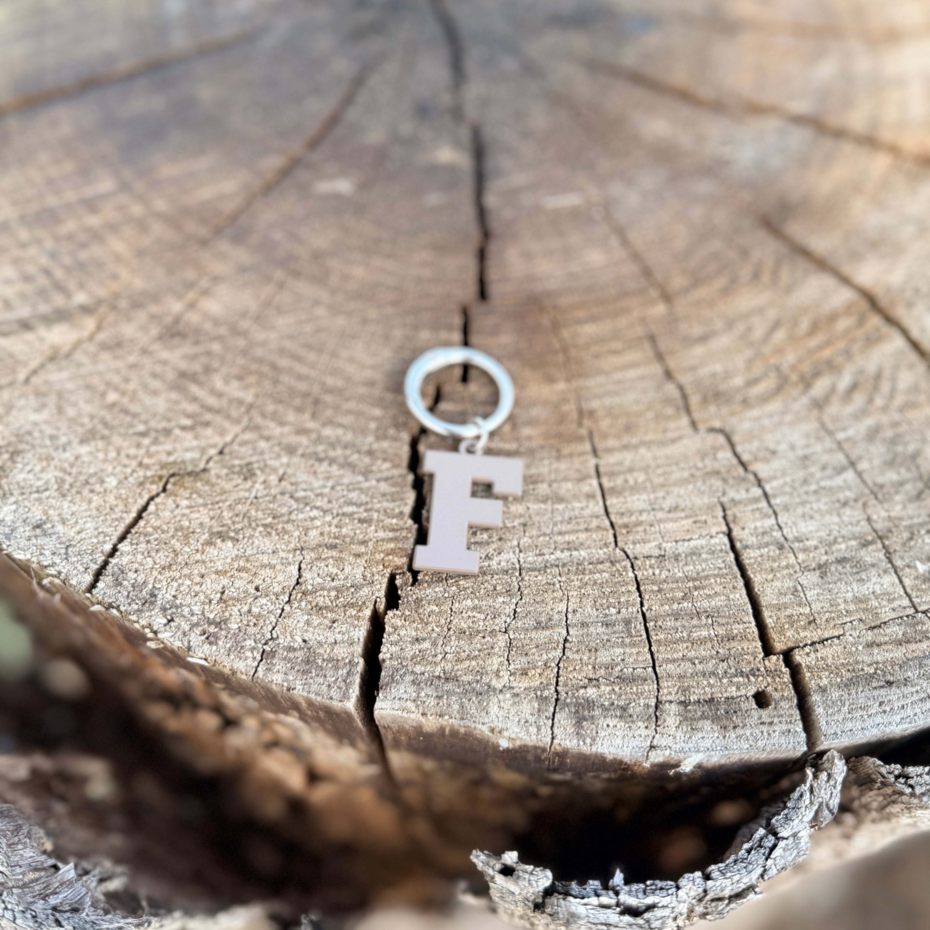 Coloured Dog Tag Letter F Brown