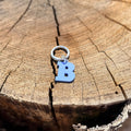 Coloured Dog Tag Letter B (Blue)