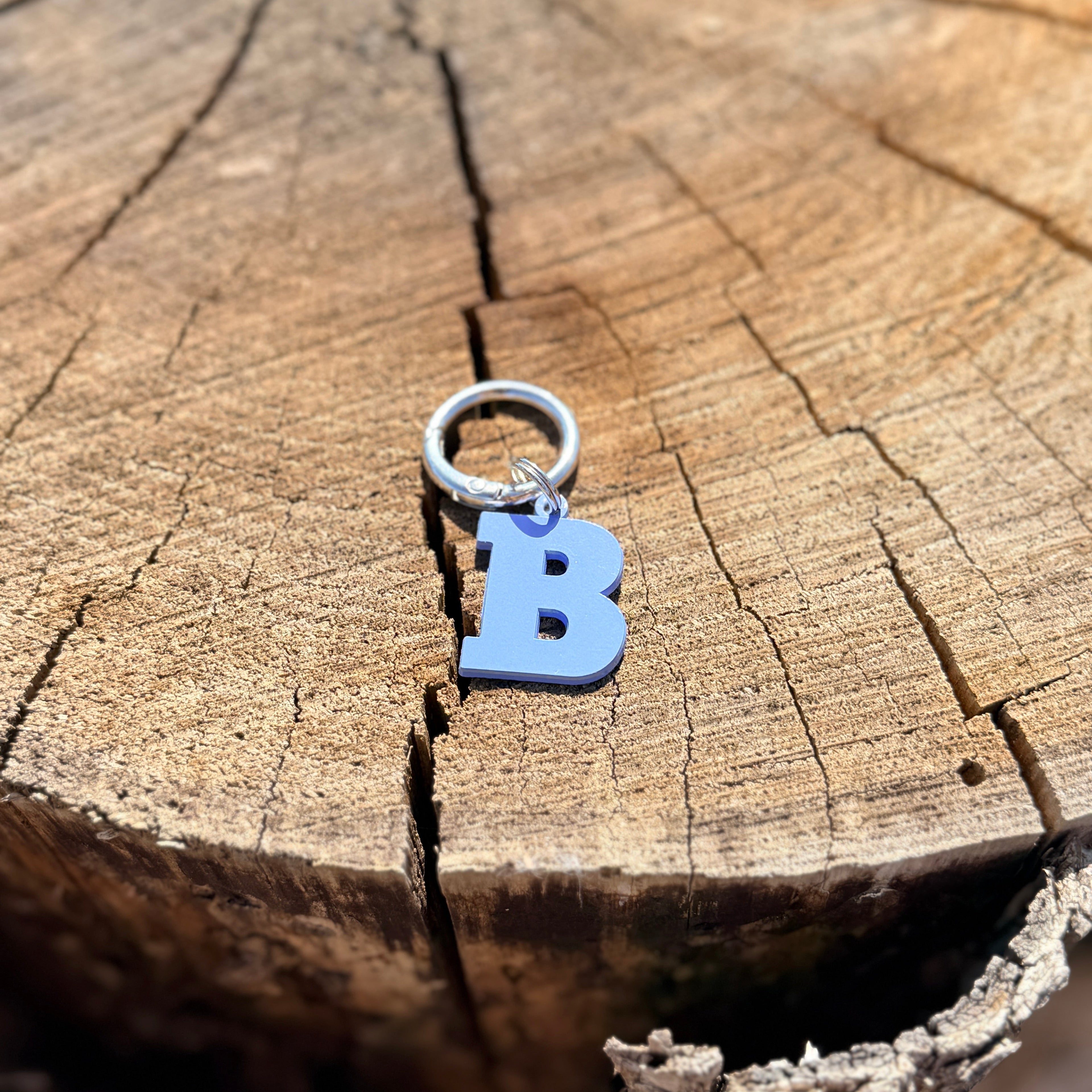 Coloured Dog Tag Letter B (Blue)