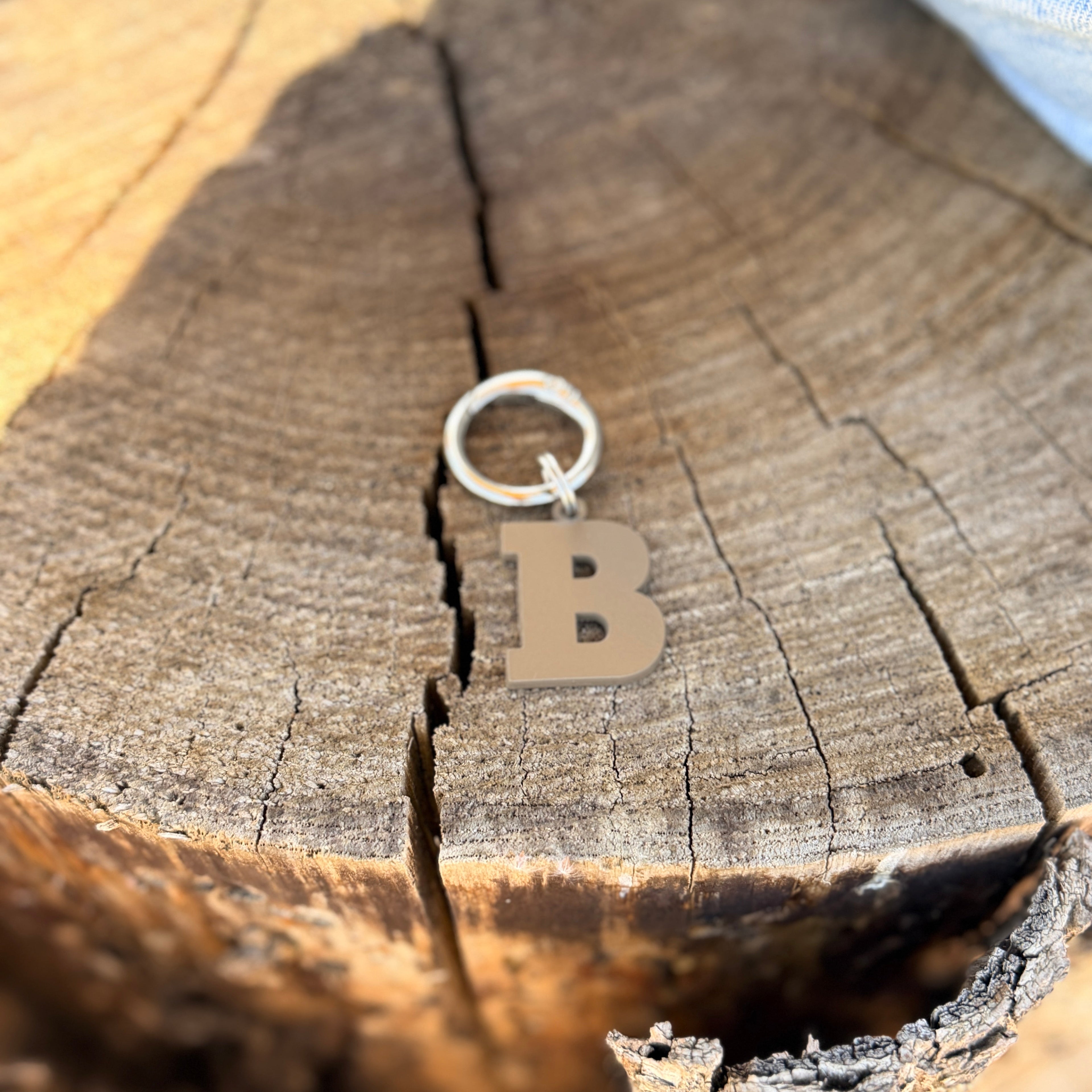 Coloured Dog Tag Letter B (Brown)