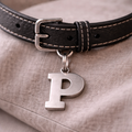 Letter P