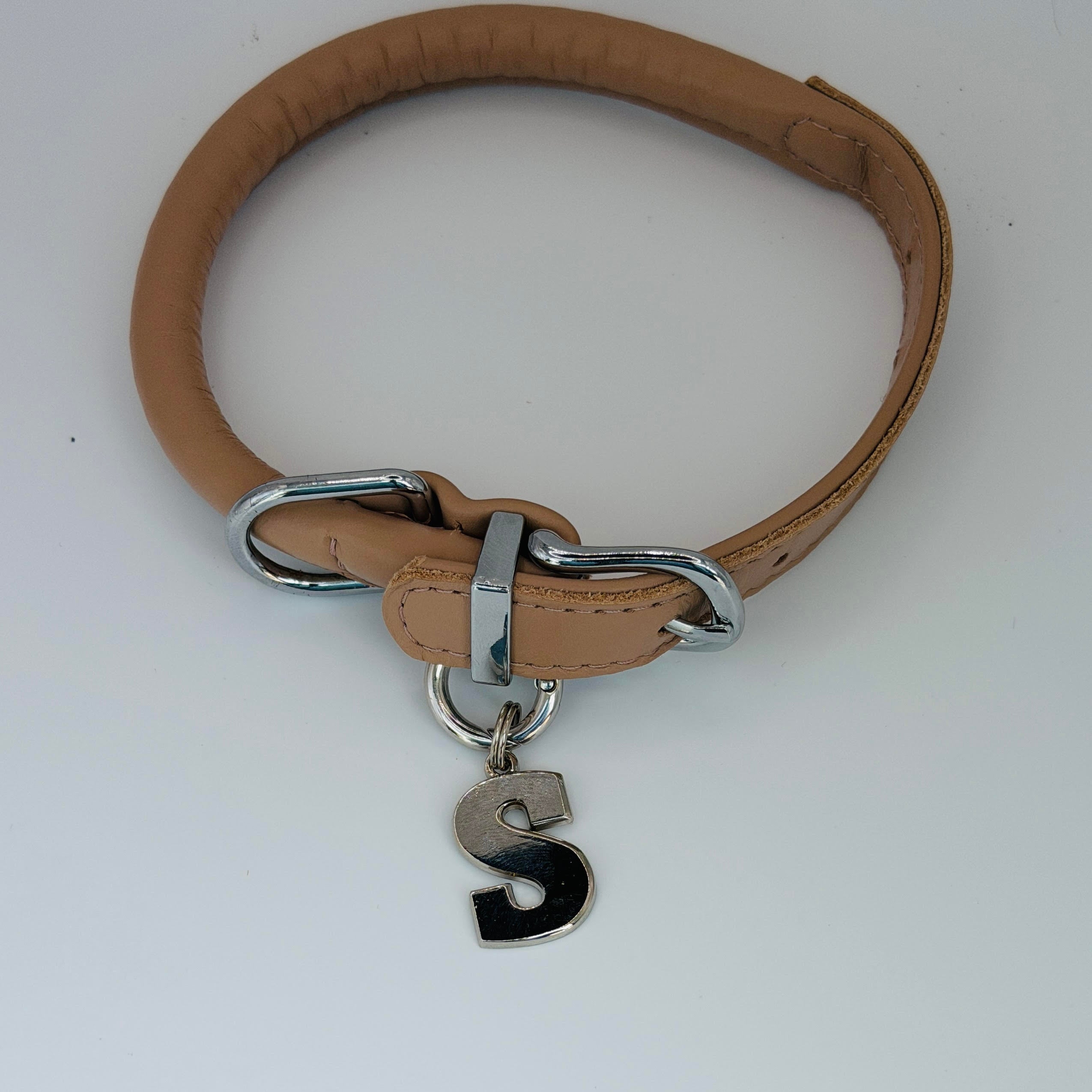 Dog Tag Letter S